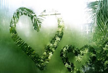 开云官网-乒乓球女子团体赛抢眼一幕，激战连连的简单介绍